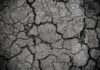erosion des sols, sol craquelé et sec