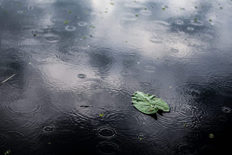 eau de pluie sur le sol
