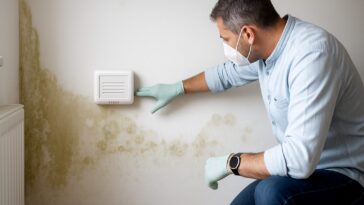 Homme installant un assécheur mural sur un mur humide et moisi