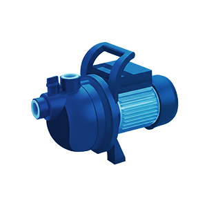 Pompes de Surface / Auto-amorçantes